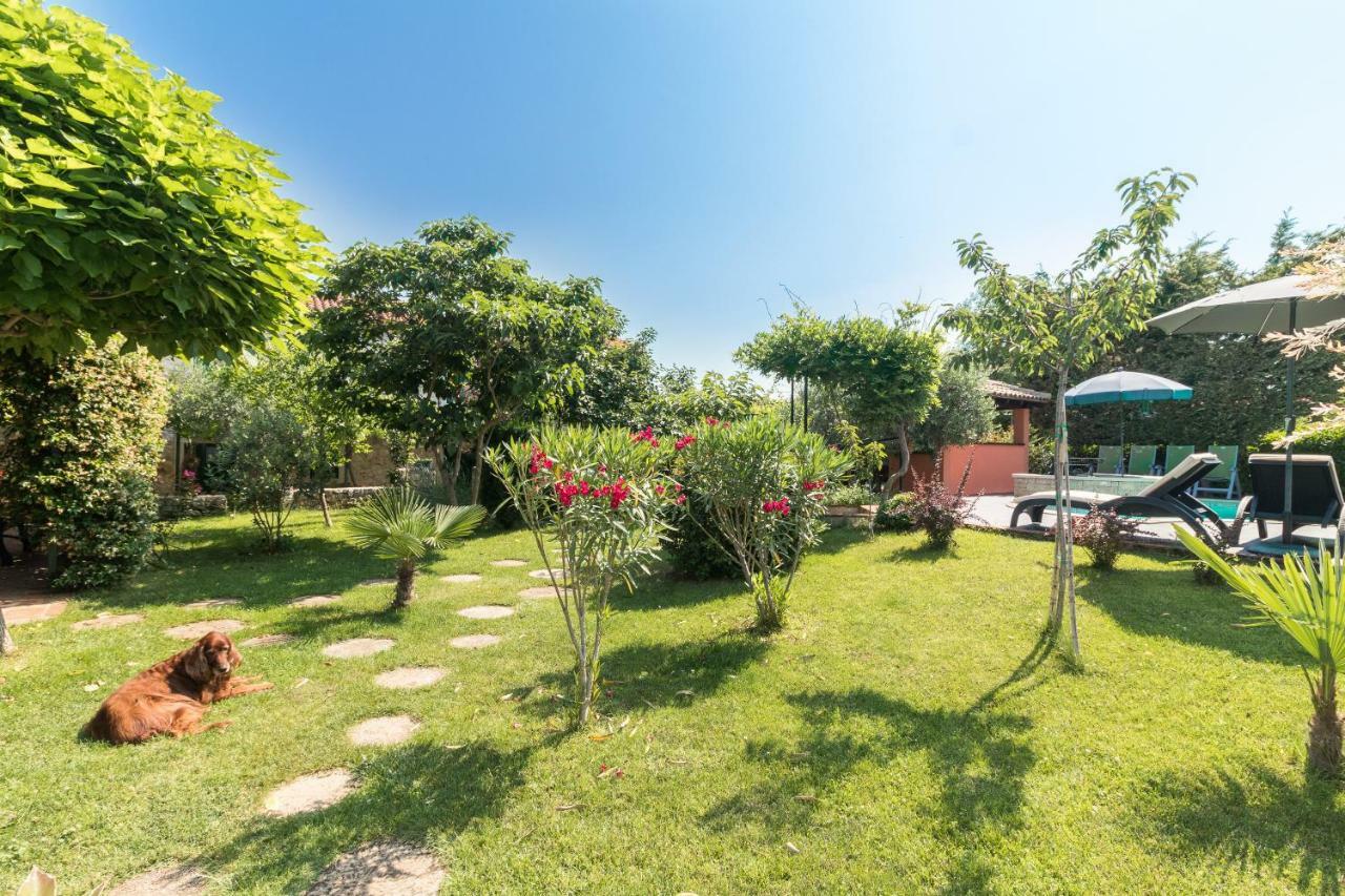 PUY Country House Apartments מראה חיצוני תמונה
